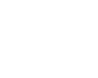 Data Is King Main Logo